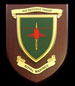 Air Defence Troop RM